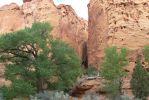 PICTURES/Burr Trail/t_Slot Canyon Entrance3.JPG